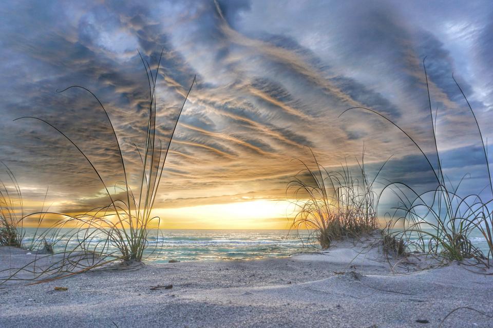 low-on-the-earth-for-perspective-at-caspersen-beach-in-venice-florida-shutterbug